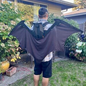 Batman Retractable Wings